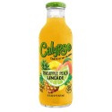 Calypso taste of the islands Pineapple Peach Lemonade