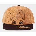 Difuzed Snapback Cap- Guardiani della Galassia I'm Groot