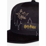 Difuzed Snapback Cap- Harry Potter