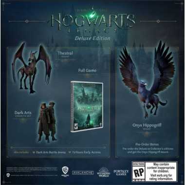 Hogwarts Legacy Deluxe Edition per PS4