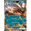 Pokémon Mazzi Lotte EX: Houndoom EX/Melmetal EX (Ed. Ita)