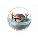 Pokémon Terrarium: Collection EX Paldea (6Cm)