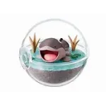 Pokémon Terrarium: Collection EX Paldea (6Cm)