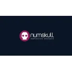 Numskull Designs